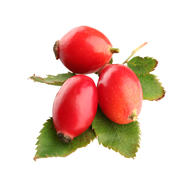 Rosehip Oil